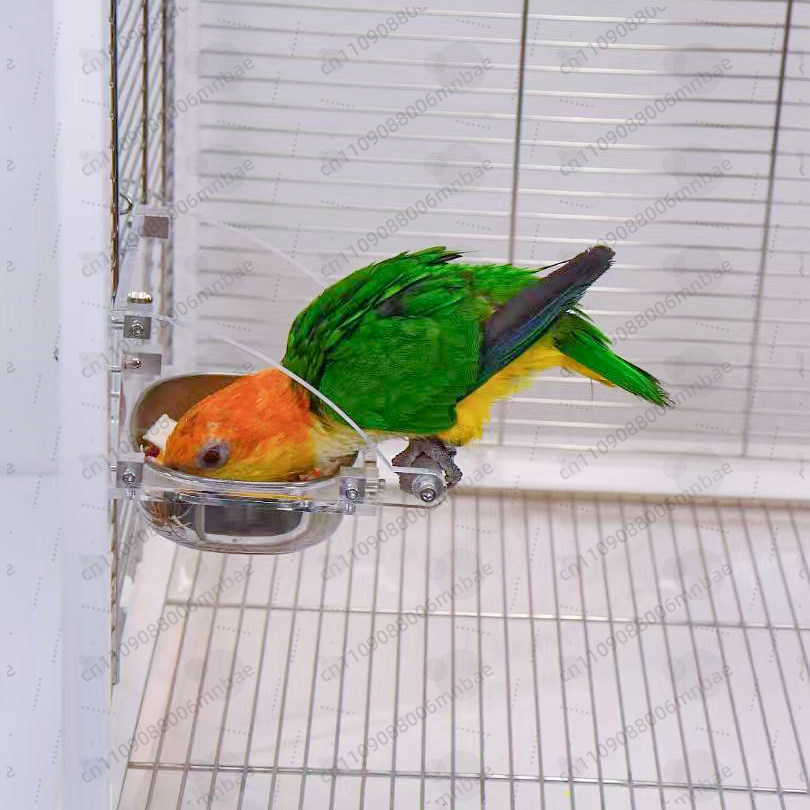 Parrot food box stainless stee - đánh giá và giá Pet Feeders