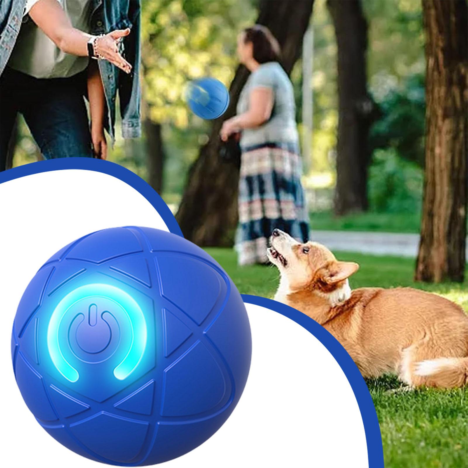 Smart Dog Toys Ball Electronic - đánh giá và giá Automatic Moving Dog Ball