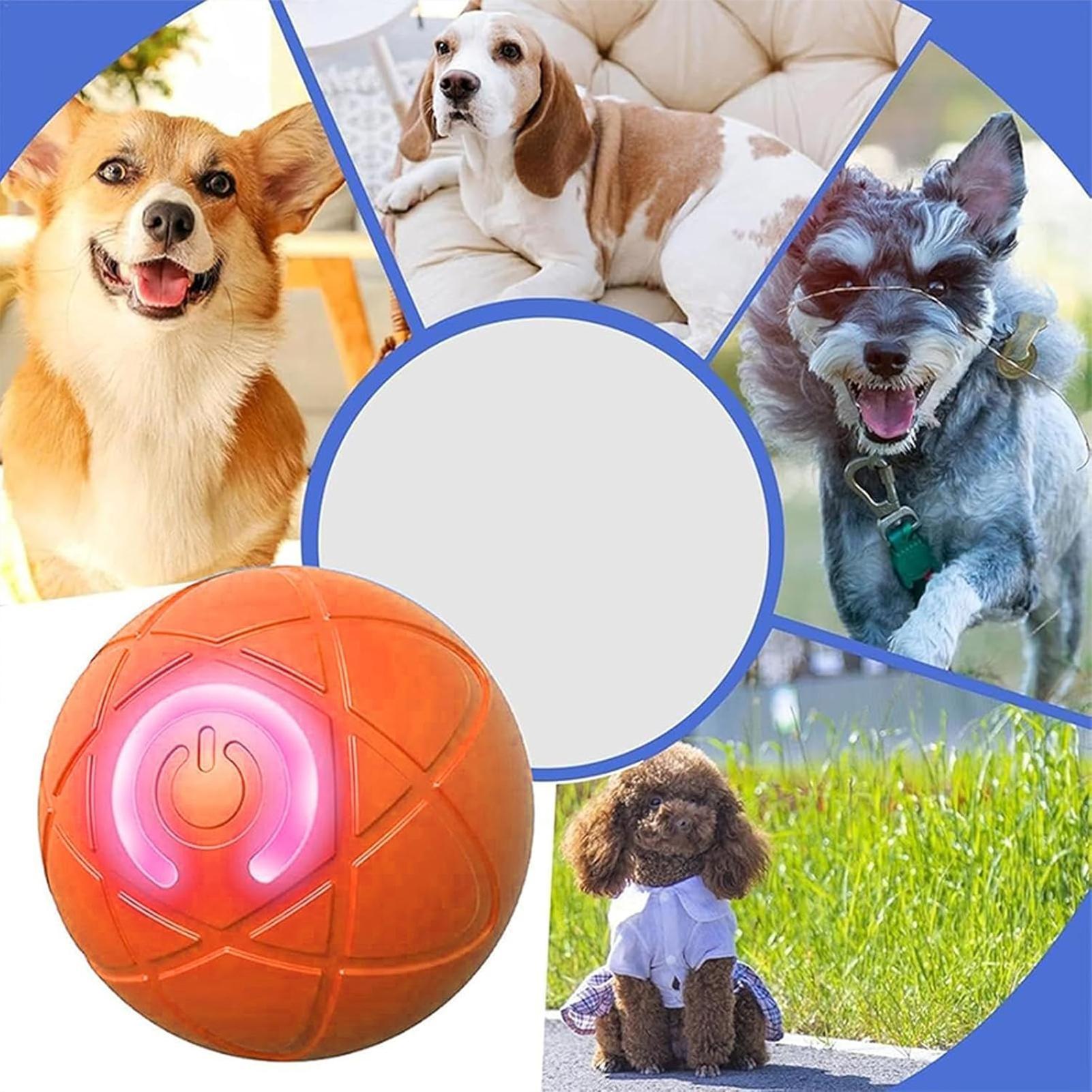 Smart Dog Toys Ball Electronic - đánh giá và giá Automatic Moving Dog Ball