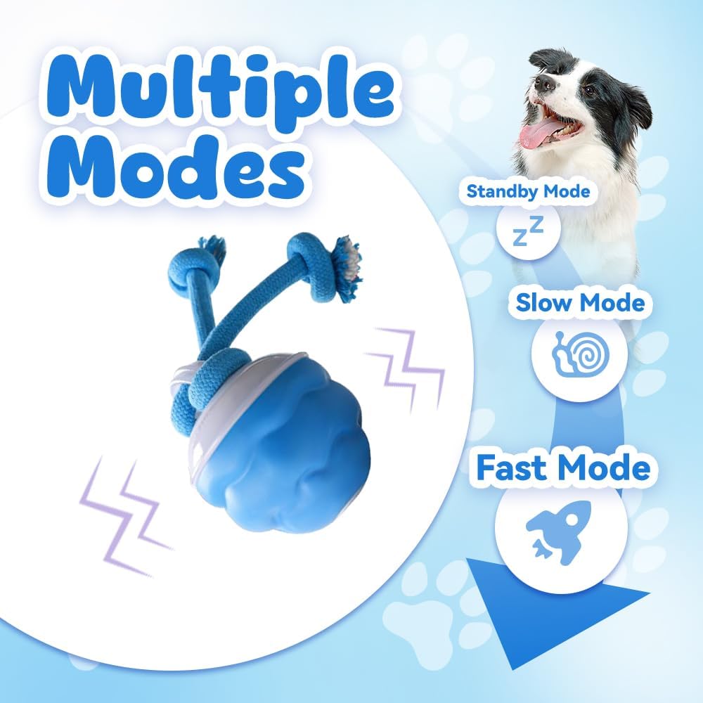 Smart Dog Toy, Automatic Movin - đánh giá và giá Automatic Moving Dog Ball
