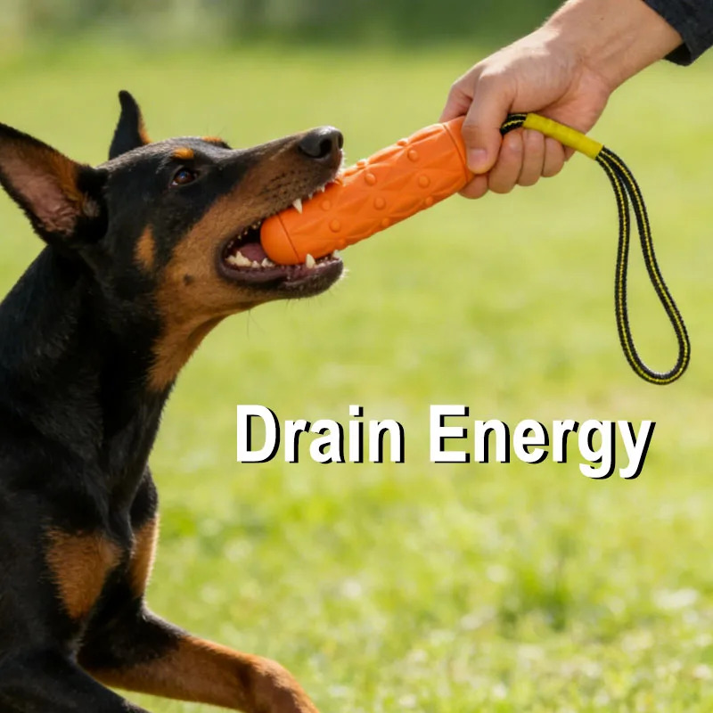 Indestructible Dog Chew Toy EV - đánh giá và giá Dog Rope Toy Aggressive Chewers