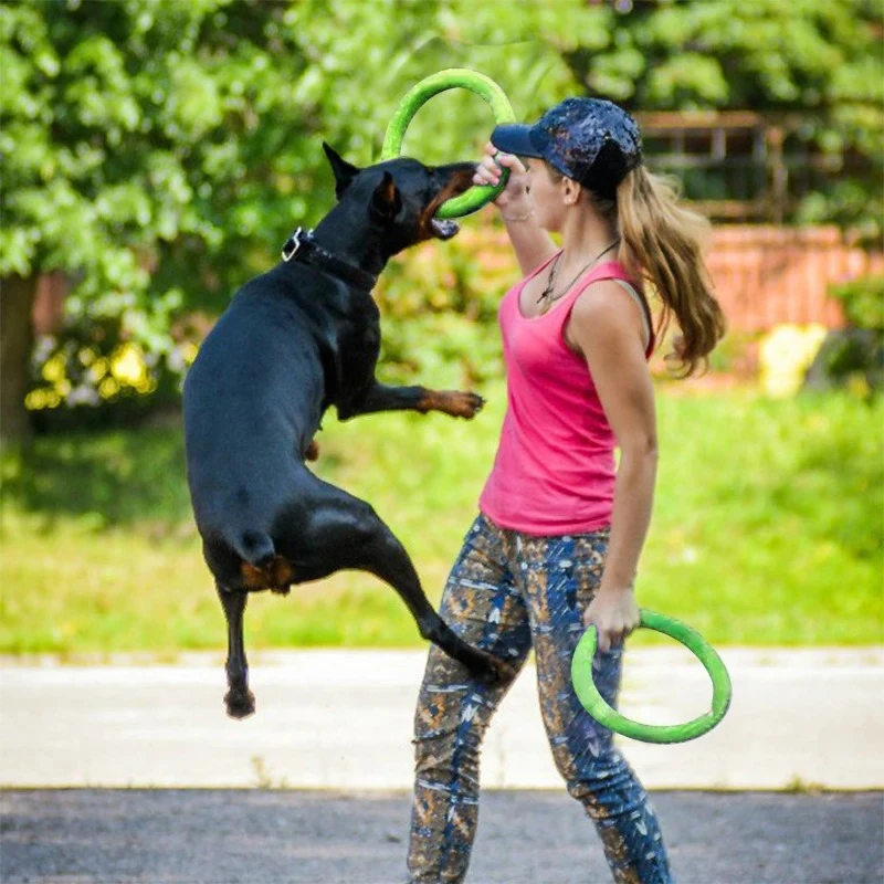Dog Toys Pet Flying Discs EVA  - đánh giá và giá Suction Cup Dog Tug Toy