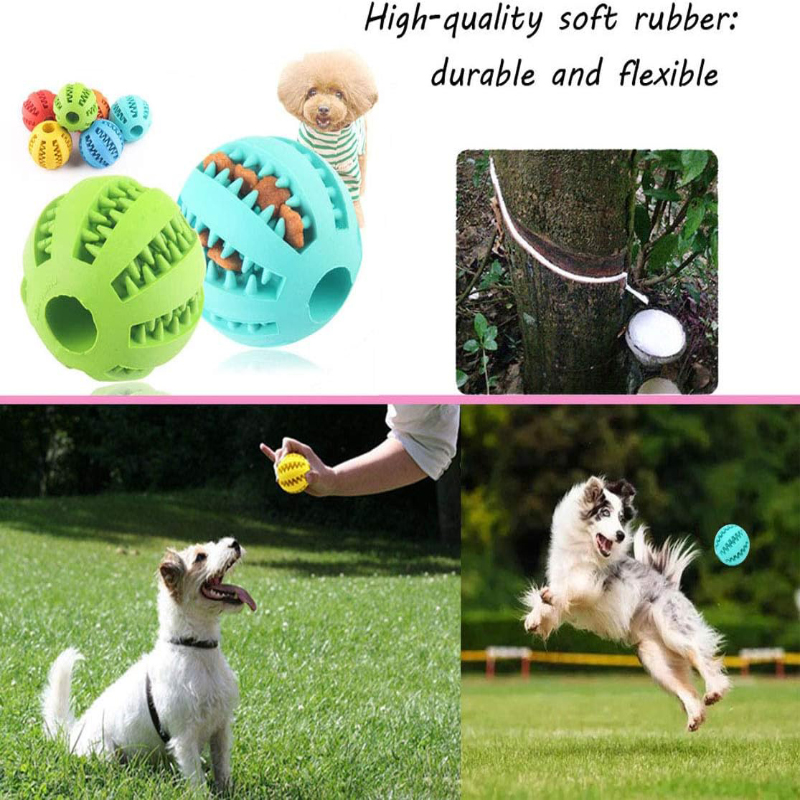 Interactive Nontoxic Bite Resi - đánh giá và giá Dog Puzzle Feeder Toy