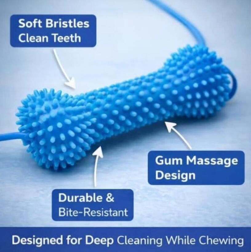 Dog Toothbrushing Toy Suction  - đánh giá và giá Rubber Treat Dispensing Dog Toy
