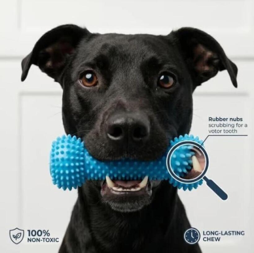 Dog Toothbrushing Toy Suction  - đánh giá và giá Rubber Treat Dispensing Dog Toy