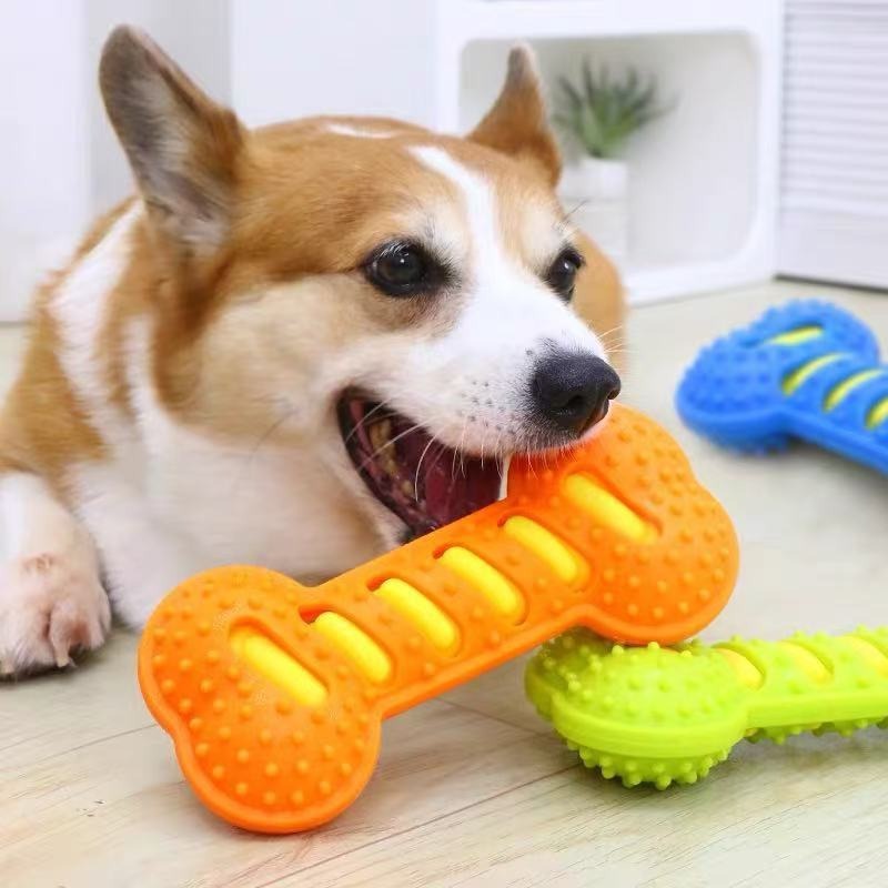 Durable Rubber Dog Chew Toy Sq - đánh giá và giá Teeth Cleaning Dog Chew Bone