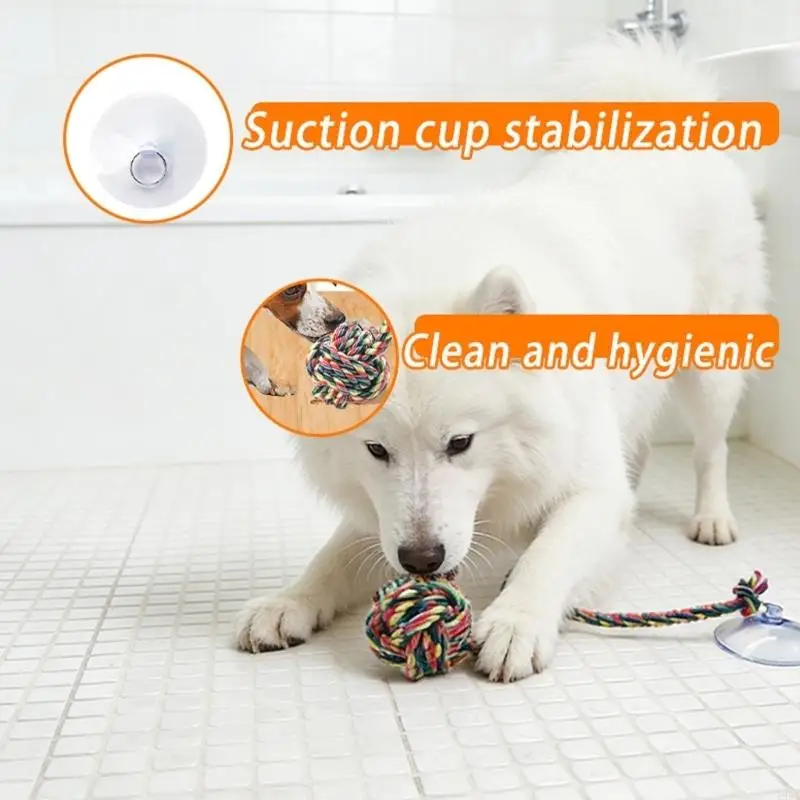 Đồ chơi nhai thú vị an toàn ch - đánh giá và giá Suction Cup Dog Tug Toy