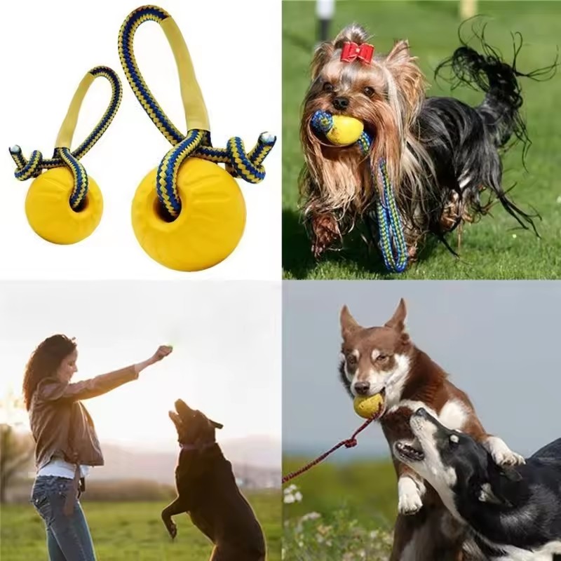 1pc Teeth Indestructible Bite  - đánh giá và giá Indestructible Dog Chew Toy