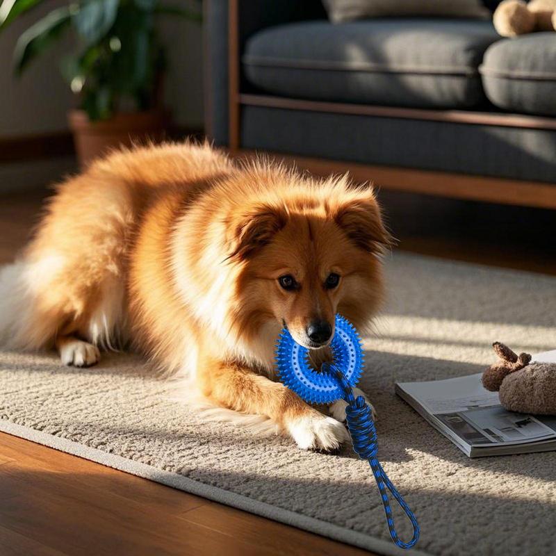Squeaky Toys For Dogs Spiky Ri - đánh giá và giá Dog Rope Toy Aggressive Chewers