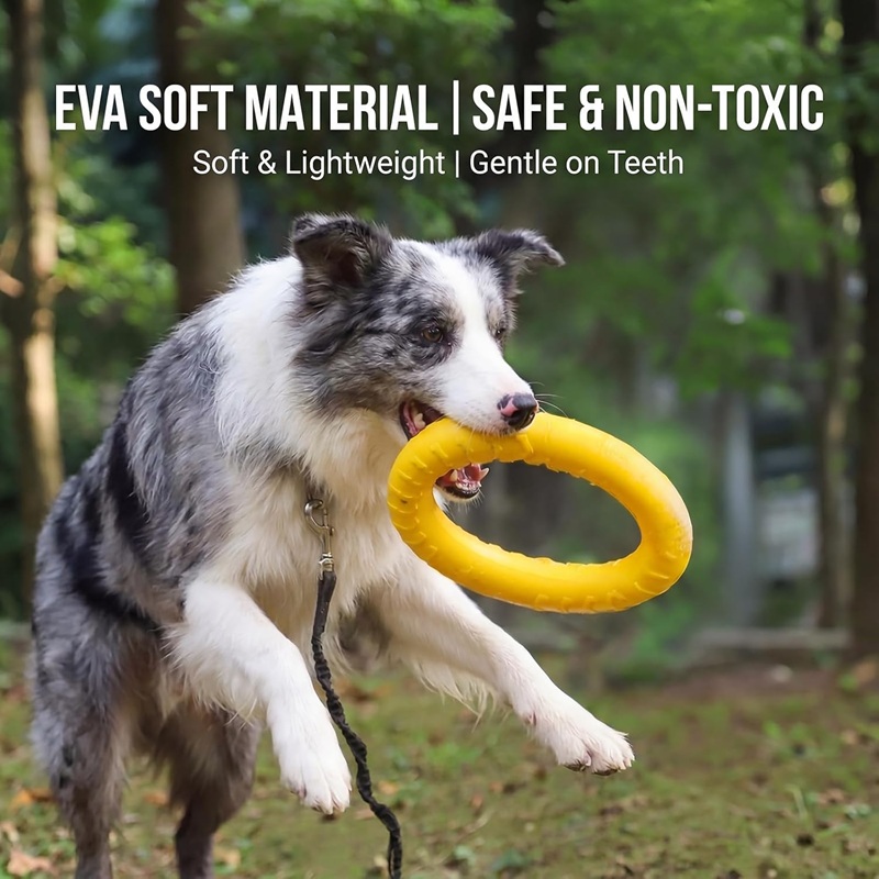 Dog Toys Pet Flying Discs EVA  - đánh giá và giá Suction Cup Dog Tug Toy