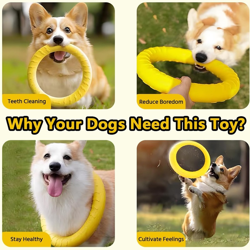Dog Toys Pet Flying Discs EVA  - đánh giá và giá Suction Cup Dog Tug Toy