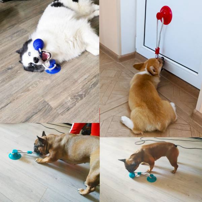 Durable Suction Cup Dog Tug To - đánh giá và giá Suction Cup Dog Tug Toy