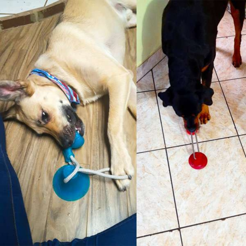 Durable Suction Cup Dog Tug To - đánh giá và giá Suction Cup Dog Tug Toy