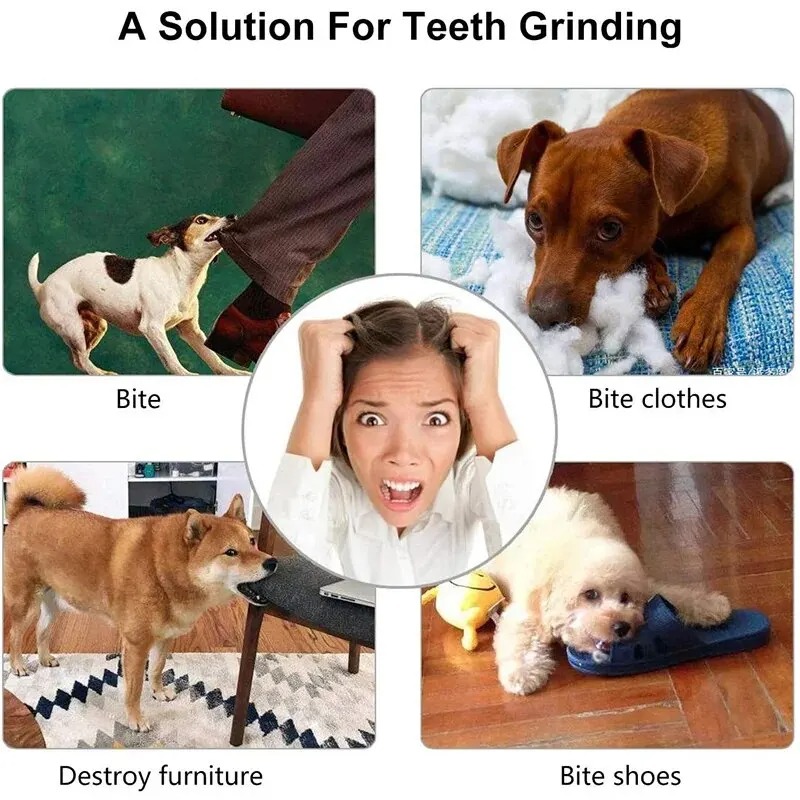 1 Pcs Dog Treat Ball Interacti - đánh giá và giá Rubber Treat Dispensing Dog Toy