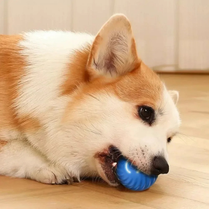 Automatic Moving Dog Toy Ball  - đánh giá và giá Automatic Moving Dog Ball