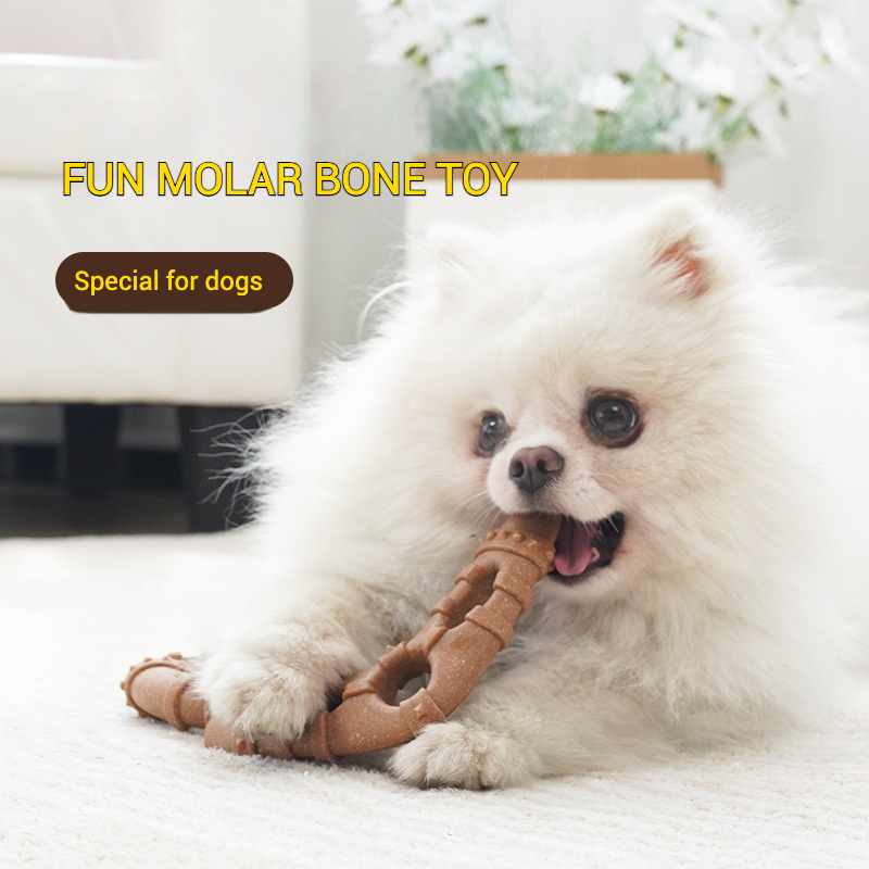 Imitation Bone Molar Dog Toy D - đánh giá và giá Teeth Cleaning Dog Chew Bone