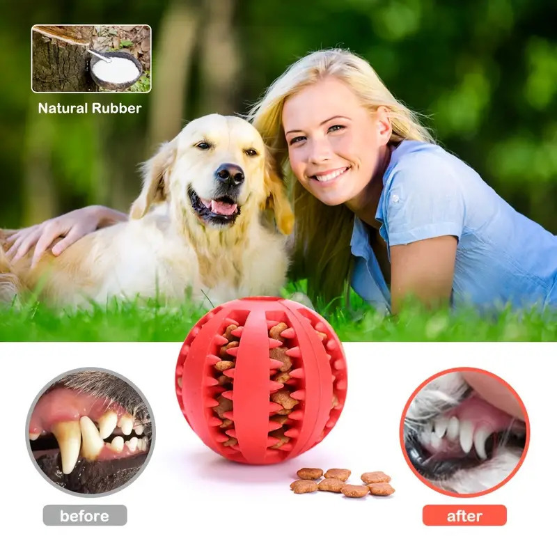 Interactive Dog Toy Ball Rubbe - đánh giá và giá Rubber Treat Dispensing Dog Toy