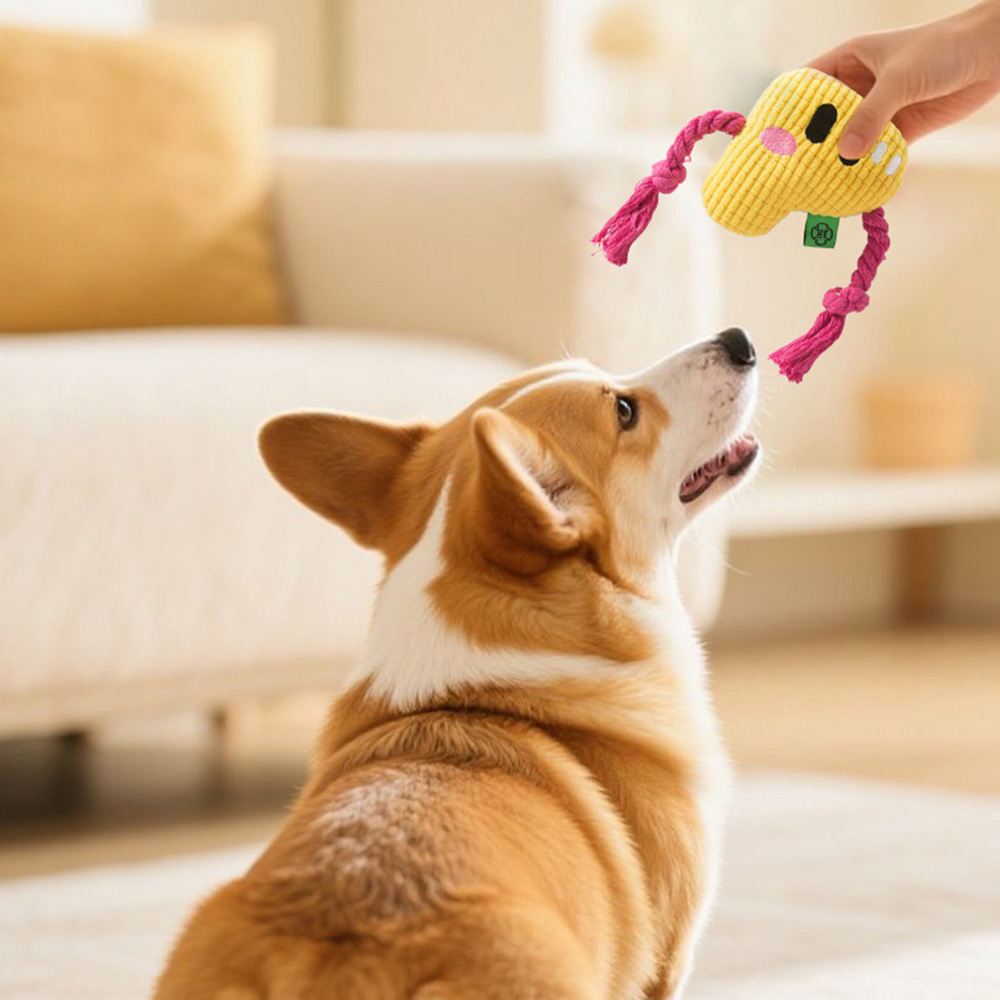 Dog Chew Toy - Durable Rope Kn - đánh giá và giá Dog Rope Toy Aggressive Chewers