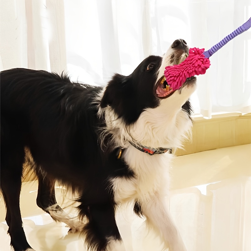 Durable Dog Toys for Aggressiv - đánh giá và giá Suction Cup Dog Tug Toy