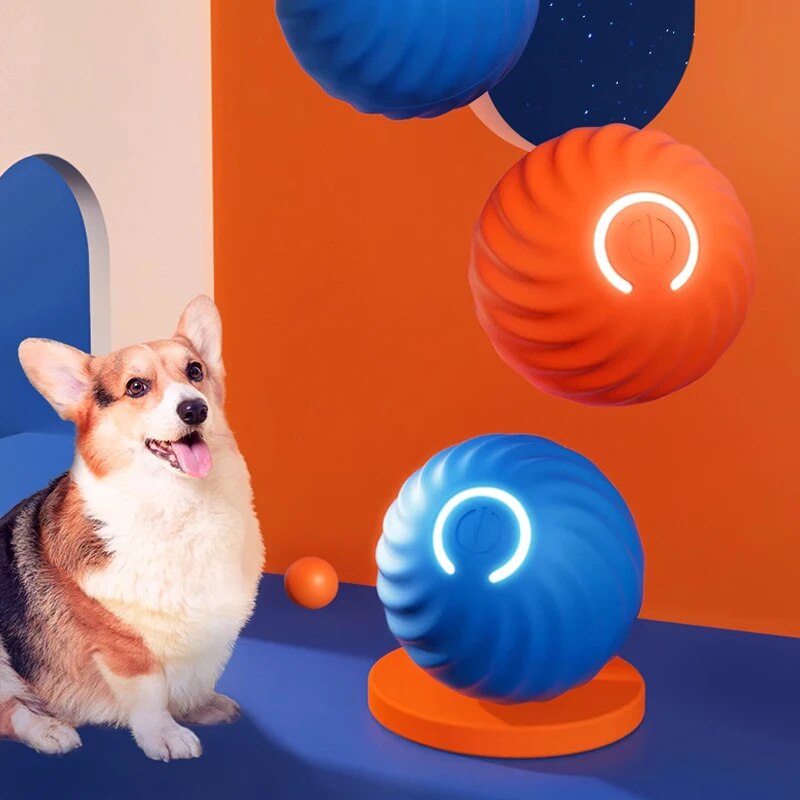 Dog Toys Intelligent Gravity J - đánh giá và giá Suction Cup Dog Tug Toy