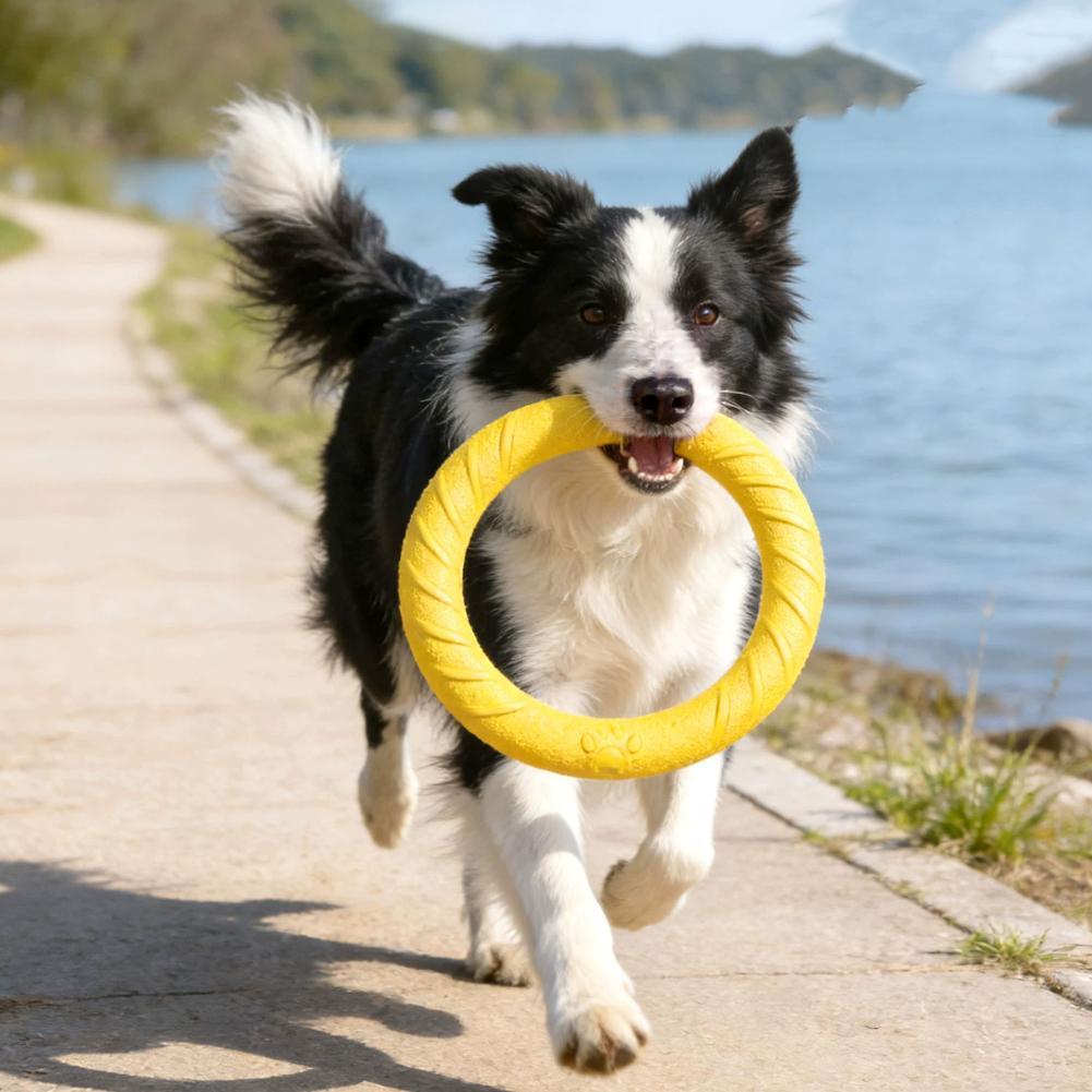 Dog Ring Toys Indestructible C - đánh giá và giá Suction Cup Dog Tug Toy
