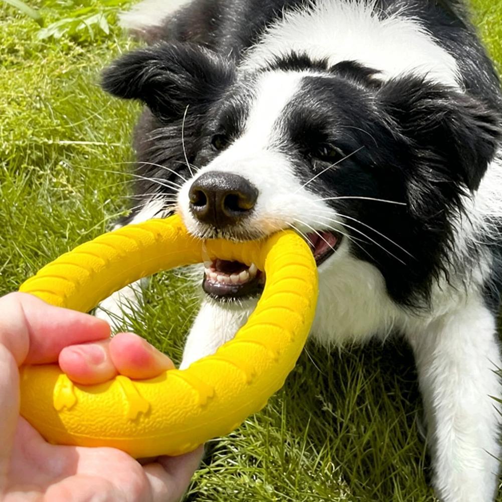Dog Ring Toys Indestructible C - đánh giá và giá Suction Cup Dog Tug Toy