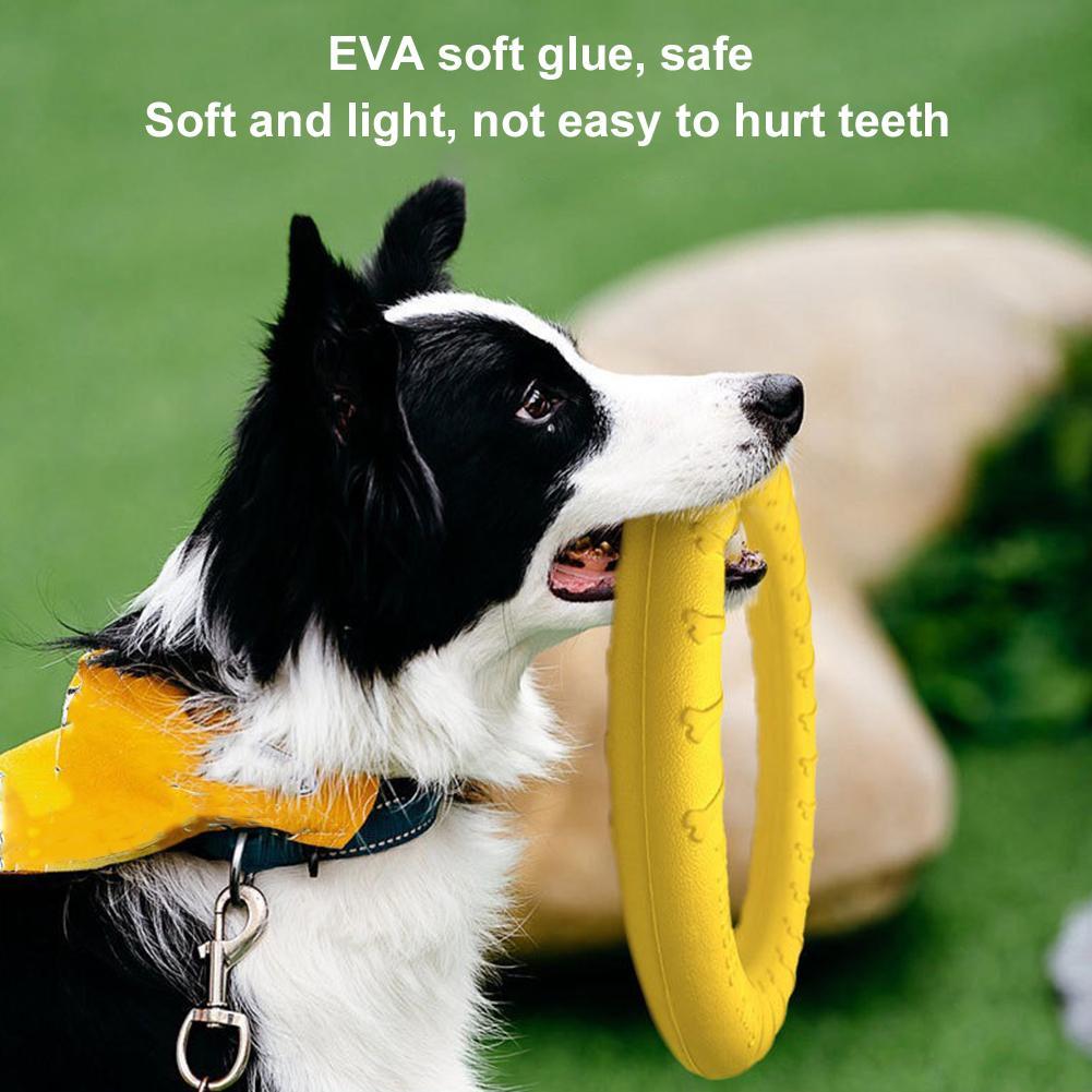 Dog Ring Toys Indestructible C - đánh giá và giá Suction Cup Dog Tug Toy