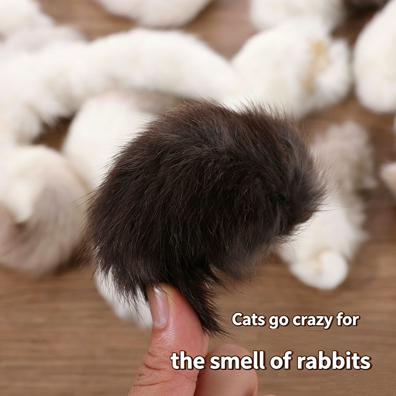 2Pcs Natural Rabbit Tail Cat T - đánh giá và giá Interactive Squeaky Plush Dog Toy