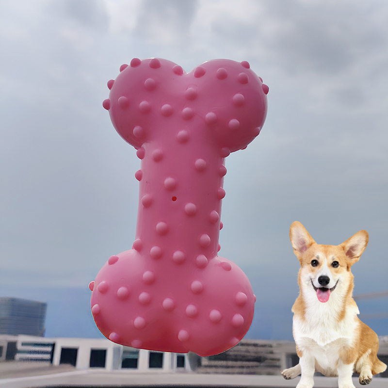 Dog Toy Rubber Sound Making Ch - đánh giá và giá Teeth Cleaning Dog Chew Bone