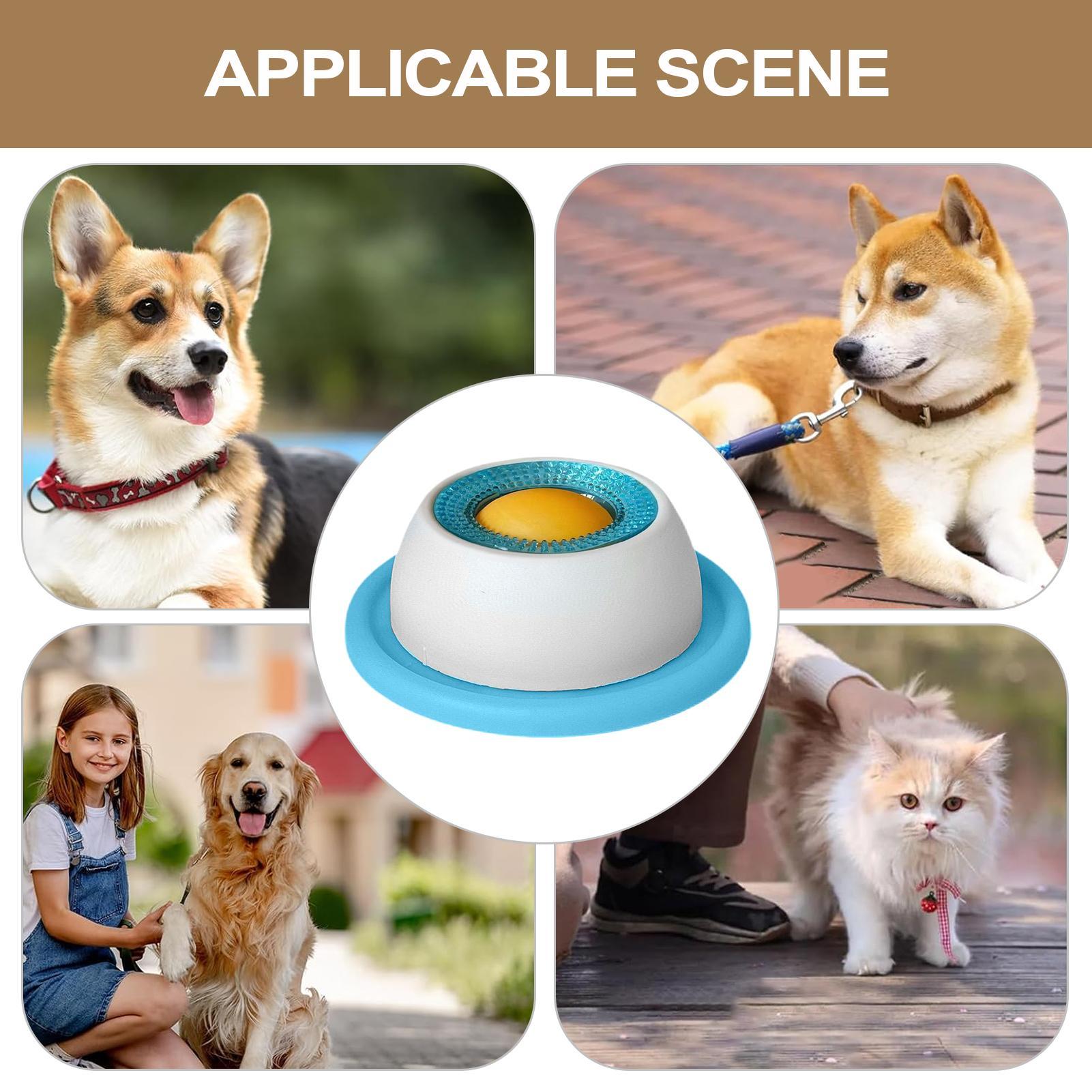 Dog Treat Toy Pet Feeding Acce - đánh giá và giá Dog Puzzle Feeder Toy