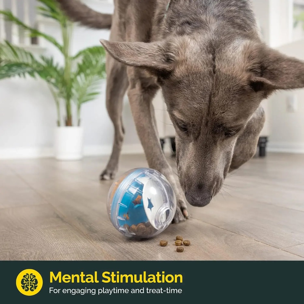 IQ Treat Ball Dog Treat Dispen - đánh giá và giá Dog Puzzle Feeder Toy