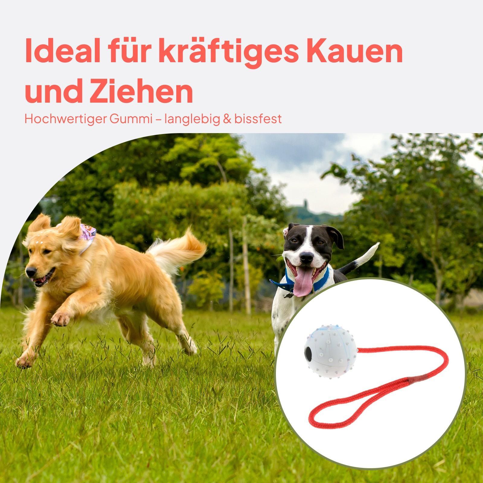 Pet Training Toy Soft Rubber C - đánh giá và giá Rubber Treat Dispensing Dog Toy